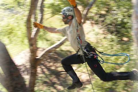 Spitze – SpiderJack erneut Vize