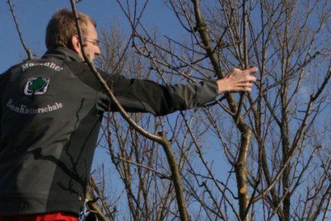 DM 2014: Vortrag zum Schnittzeitraum von J. Bilharz
