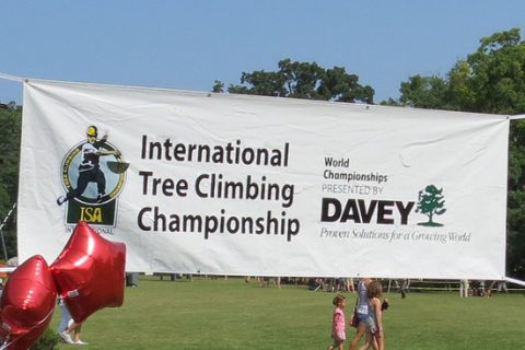 ITCC 2014: Ausführliche Ergebnisse