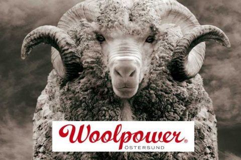 Woolpower: Kleidung für Profis mit hohen Ansprüchen