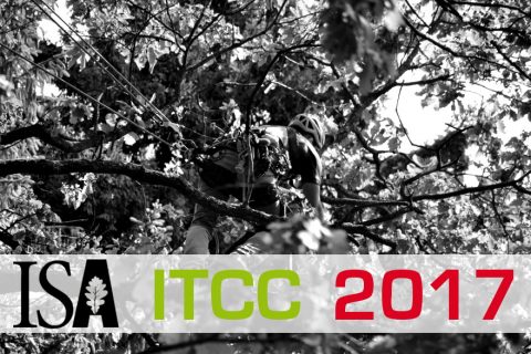 ITCC 2017: Neuseeländer verteidigen ihre Titel