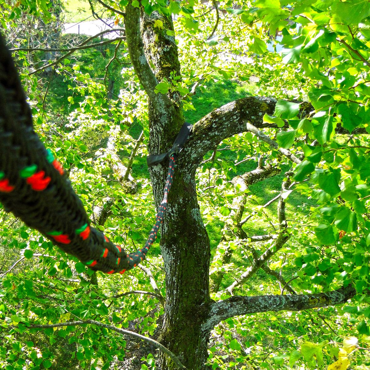 Tree bracing