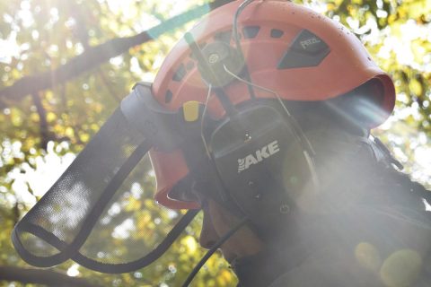 ECC – Die moderne Art der Kommunikation im Baum