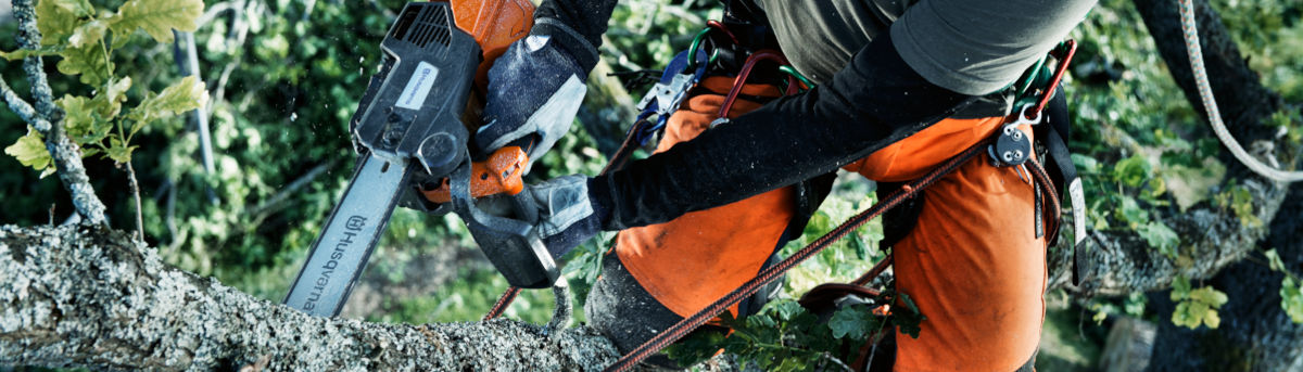 Husqvarna Motorsägen für die Baumpflege Husqvarna Motorsägen für die Baumpflege