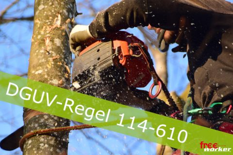 DGUV Regel 114-610: Unfallverhütung in der Baumpflege