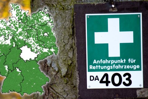 Forstliche Rettungspunkte in der Baumpflege