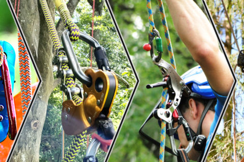 La sécurité avant tout : les dispositifs autobloquants pour les arboristes-grimpeurs