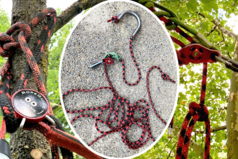 Zweites, kurzes Klettersystem für große Bäume: Kletterset Grote