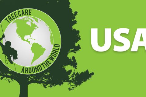 Baumpflege around the World: USA