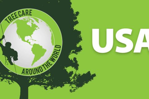 Baumpflege around the World: USA